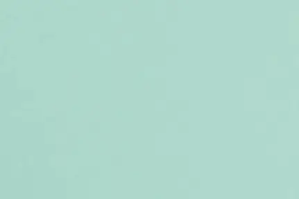 Pantone Green0921C – brillante Grüntönung von Pantone für kreative Druckprojekte.