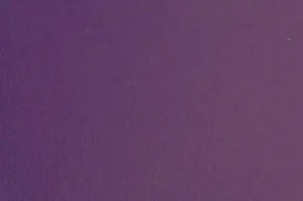 Pantone Violetv2C – vielseitige Sonderfarbe von Pantone, ideal für innovative Druckprojekte.